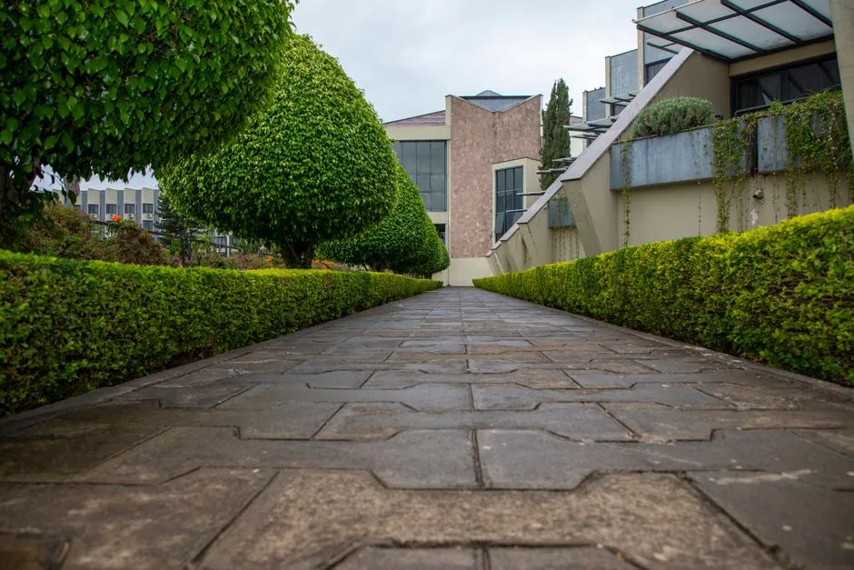 Débroussaillage jardin à Chambéry