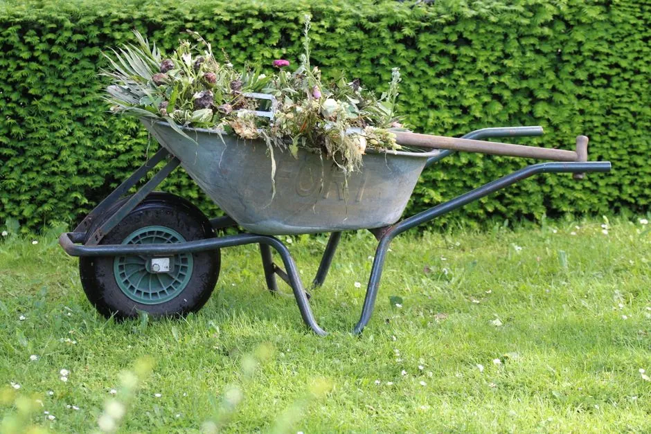 Aménagement jardin en Savoie