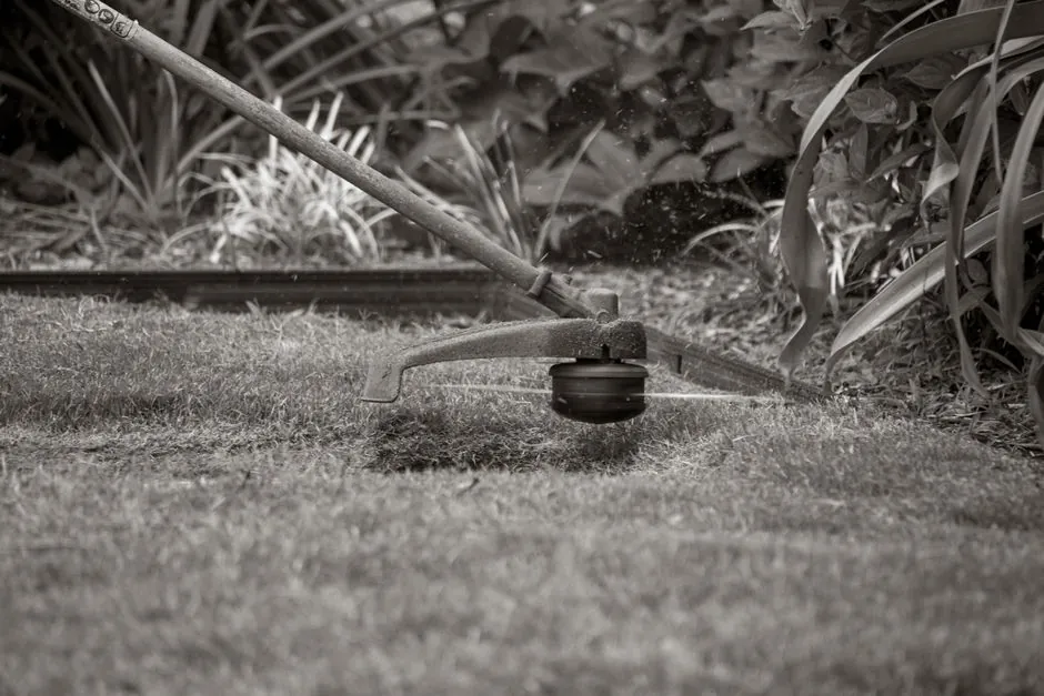 Jardin entretenu à Chambéry par VERT PAYSAGE